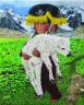   Enfant Péruvien portant un agneau Alpaga 